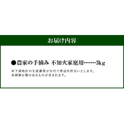 【訳あり】農家の手摘み　不知火　家庭用　3kg_S040-030