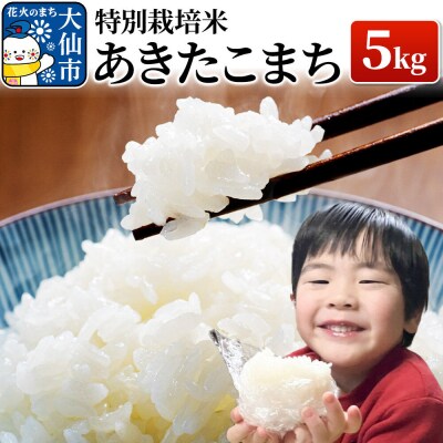 米 令和7年産【特別栽培米】あきたこまち【精米】5kg|22_oks-110501