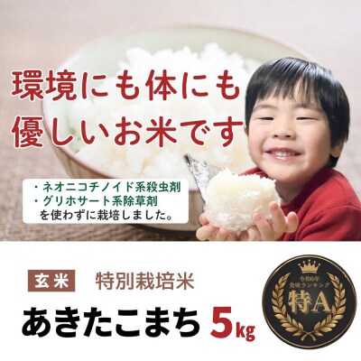 米 令和7年産【特別栽培米】あきたこまち【精米】5kg|22_oks-110501
