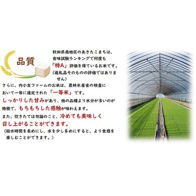 米 令和7年産 秋田県産あきたこまち 一等米 農家直送 無洗米5kg|22_uot-030501