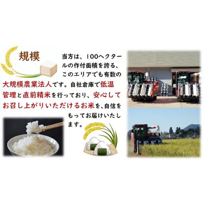 米 令和7年産 秋田県産あきたこまち 一等米 農家直送 無洗米5kg|22_uot-030501