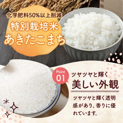 米 特別栽培米 あきたこまち【精白米】5kg×1袋産|22_rsm-220101