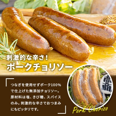 「ポークチョリソー×3本 & 高梨商店のチキンカレー」×2食セット|22_tns-020101