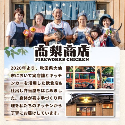 高梨商店のチキンカレー 540g (180g×3)|22_tns-040301
