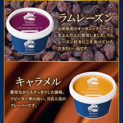 生乳ジェラートバラエティセット　ミルク ラムレーズン キャラメル 抹茶 ブルーベリー