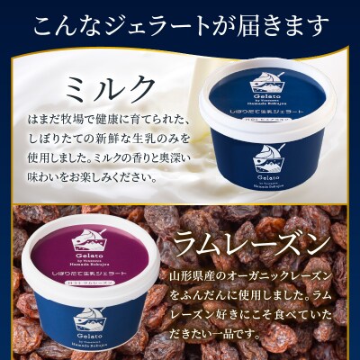 生乳ジェラートセット　3か月定期便(合計36個)ミルク ラムレーズン キャラメル 限定フレーバー