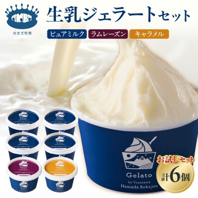 生乳ジェラートセットピュアミルク+お試しフレーバー2種セット　6個