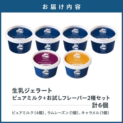 生乳ジェラートセットピュアミルク+お試しフレーバー2種セット　6個