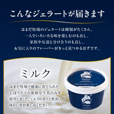 牧場しぼりたて 生乳ジェラート 3種類 計8個 