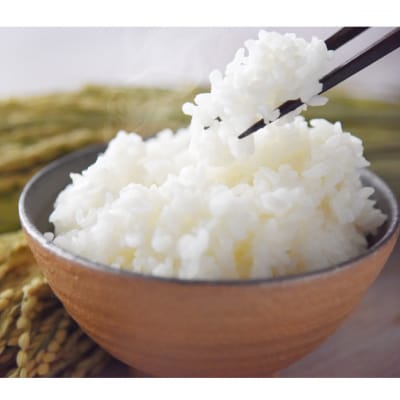 【令和7年産米】 特別栽培米 青天の霹靂・はれわたり 計10kg(5kg×2) 青森県産