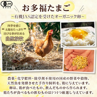 ＜12回定期便＞オーガニック卵「お多福たまご」(10個入×3パック)【お多福たまご】K-173-B