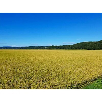令和6年産】青森県産まっしぐら20kg | 青森県五戸町 | ふるさと 令和6年産】青森県産まっしぐら20kg | 青森県五戸町 | ふるさと