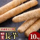 【青森県五戸町特産】長芋　10kg