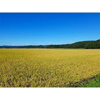 【令和4年産】青森県産まっしぐら5kg