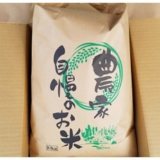 【令和5年産】まっしぐら　玄米10kg