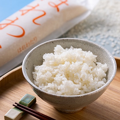 ふるさと納税 平取町 【数量限定 / 特別栽培米】令和7年5月中旬