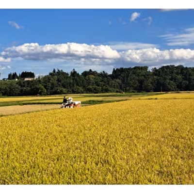 【令和6年産】はれわたり　精米10kg(5kg×2袋)