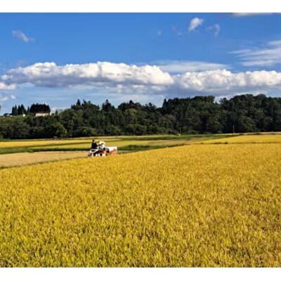 【令和6年産】はれわたり　精米 20kg(5kg×4)