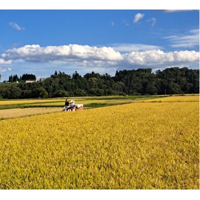 【令和7年産】まっしぐら 玄米30kg