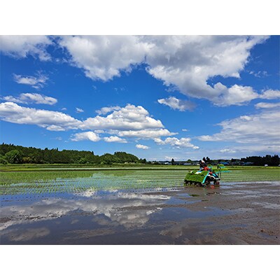【毎月定期便】まっしぐら　玄米10kg全4回
