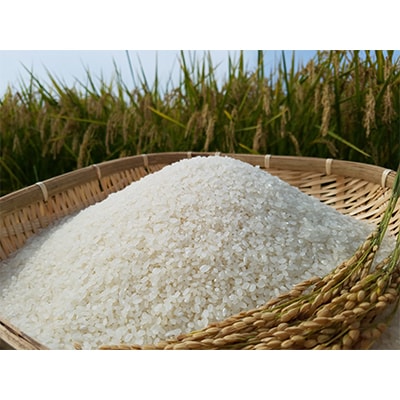 【毎月定期便】まっしぐら　精米20kg(10kg×2袋)全3回