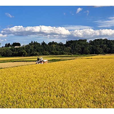 【毎月定期便】まっしぐら　精米20kg(10kg×2袋)全3回
