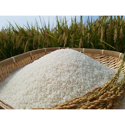 【毎月定期便】まっしぐら　精米20kg(10kg×2袋)全4回