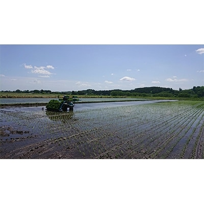 2021年2月発送開始『定期便』特A評価 青森県産まっしぐら　精米5kg　全3回