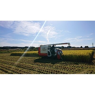 2021年2月発送開始『定期便』特A評価 青森県産まっしぐら　精米5kg　全3回