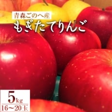 【青森ごのへ産】 もぎたてりんご 5kg(16～20玉)