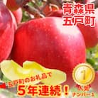 【青森ごのへ産】味に自信 りんご  サンふじ 約5kg