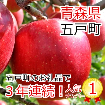 【青森ごのへ産】味に自信 サンふじ 約5kg