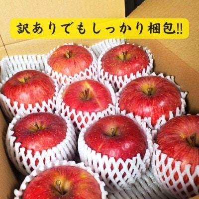 青森りんご サンふじ約3kg【訳あり・家庭用】