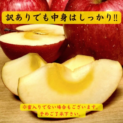 青森りんご サンふじ約3kg【訳あり・家庭用】