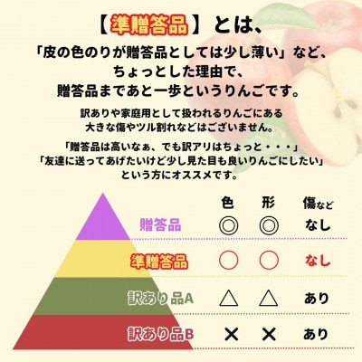 【準贈答品】味よし見た目よし「サンふじ」約3kg