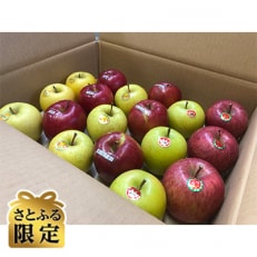 【さとふる限定】「青森県五戸町産」　りんご詰め合わせ　5kg(12～18玉)
