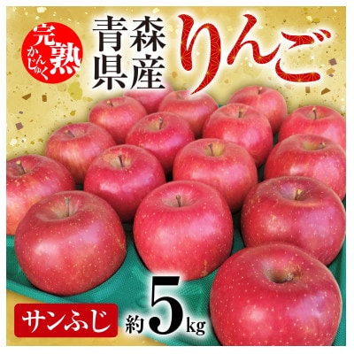 「青森県五戸町産」サンふじりんご　約5kg(12～20玉)