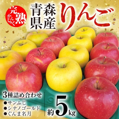 「青森県五戸町産」りんご3種詰め合わせ　約5kg(14～18玉)