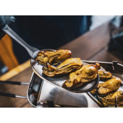 [KT-2S01]フェニックスライズの鉄板「小鉄/ステンレス(本体・取っ手セット)」