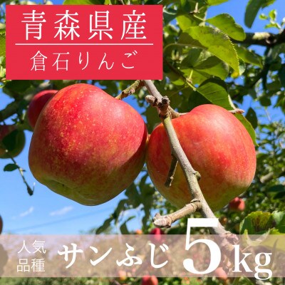 【青森県産】サンふじ 約5kg