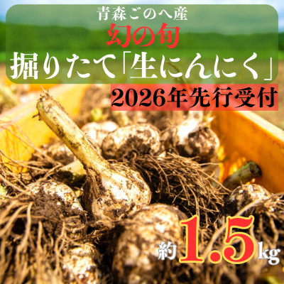 幻の旬!青森ごのへ町産　掘りたて土付き「生」にんにく　Lサイズ以上　約1.5kg