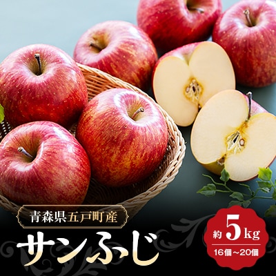 【青森県五戸産】りんご(サンフジ)約5kg(16個~20個入り)