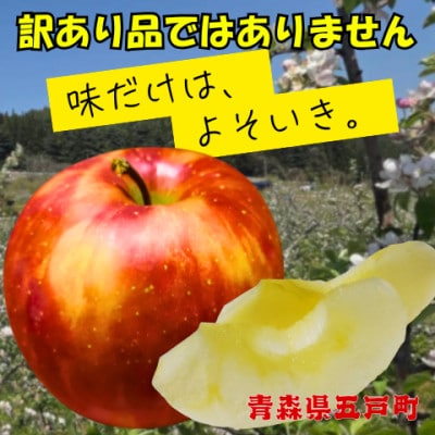 【訳あり品ではありません】葉とらずサンふじ 約3kg(7～12玉) 青森県産