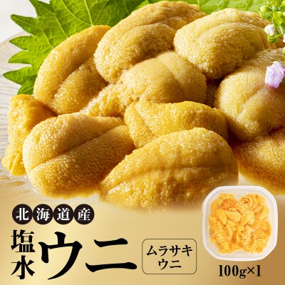 北海道産 塩水ウニ(ムラサキ)100g_Y038-0138