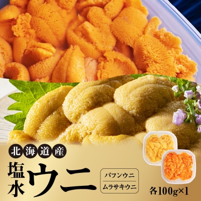 北海道産 世壱屋塩水ウニ(ムラサキウニ&バフンウニ)各100g_Y038-0142