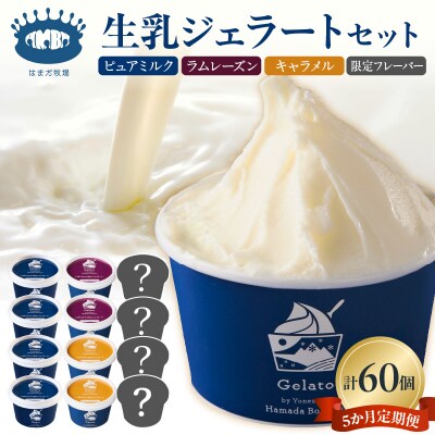 生乳ジェラートセット　5か月定期便(合計60個)ミルク ラムレーズン キャラメル 限定フレーバー