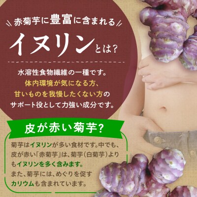 赤菊芋 パウダー 100g 【 赤 菊芋 きくいも キクイモ 粉末】