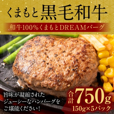 くまもとDREAMバーグ 150g×5 くまもと黒毛和牛100% ハンバーグ_067-2294-C