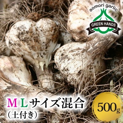 【2026年6月下旬発送開始】掘りたて 生にんにく 青森県産 MLサイズ混合 500g (土つき)