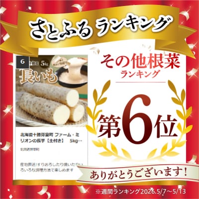 北海道十勝芽室町 ファーム・ミリオンの長芋【土付き】　5kg me016-012c